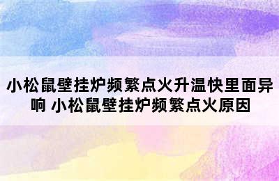 小松鼠壁挂炉频繁点火升温快里面异响 小松鼠壁挂炉频繁点火原因